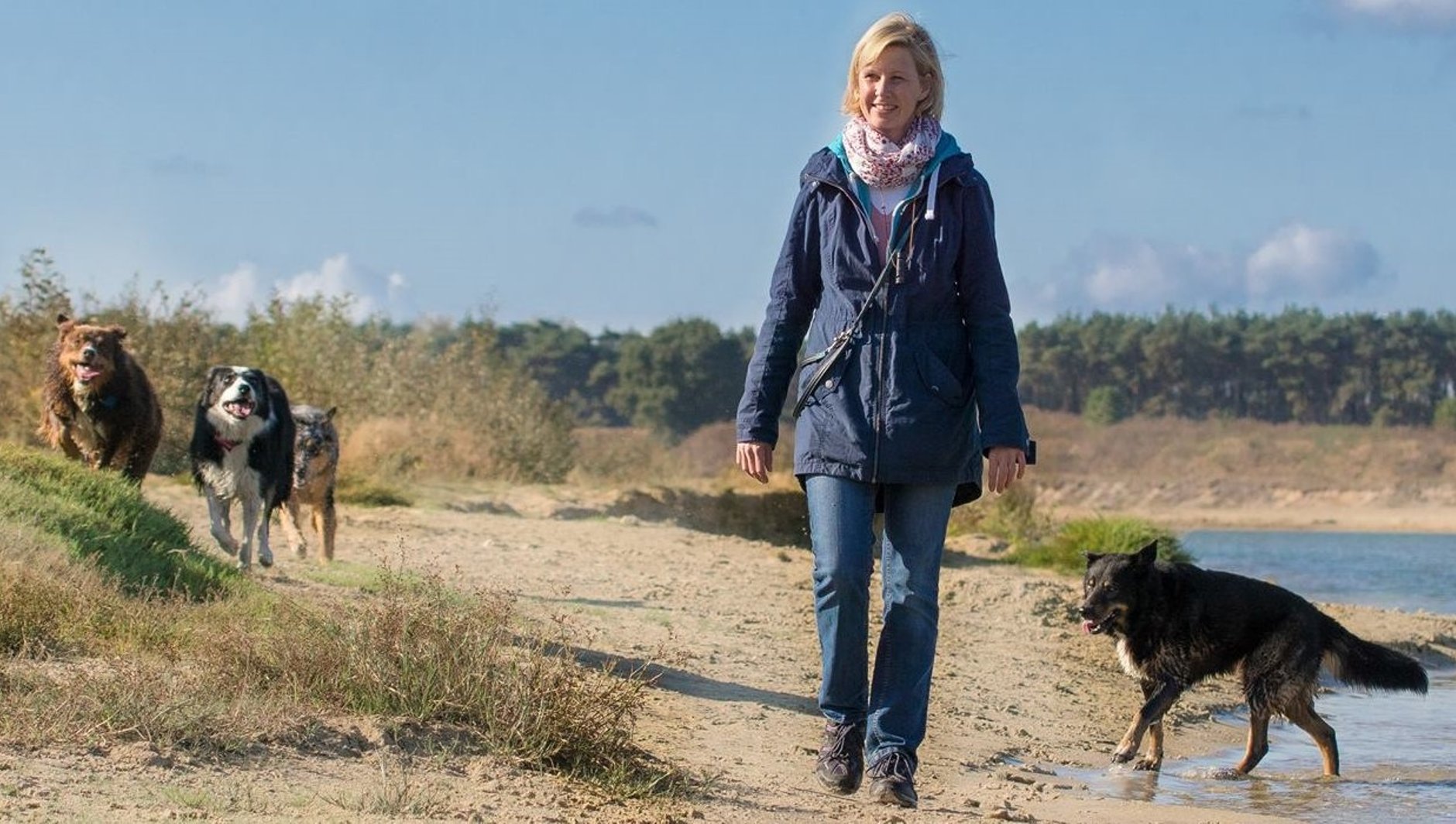 Hundebetreuung im Westen Hamburgs